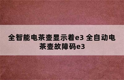 全智能电茶壶显示着e3 全自动电茶壶故障码e3